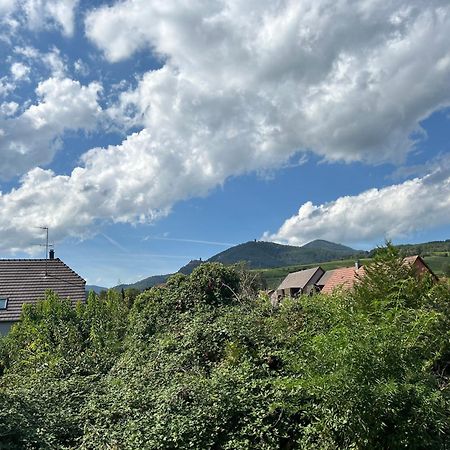 Gite Neuf En Duplex Tout Confort Ribeauvillé Zewnętrze zdjęcie