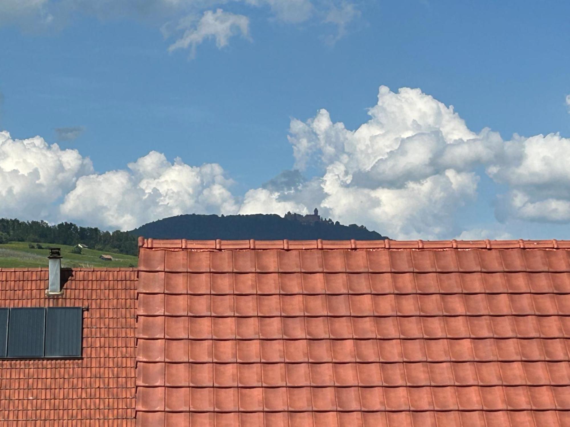 Gite Neuf En Duplex Tout Confort Ribeauvillé Zewnętrze zdjęcie